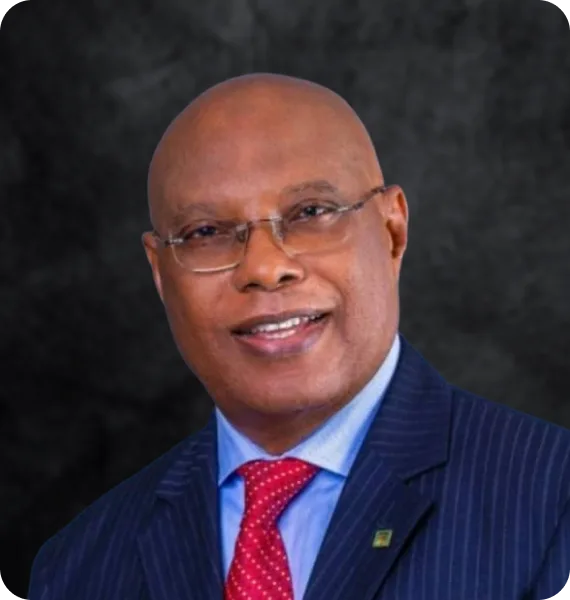 J. Segun Ajanlekoko